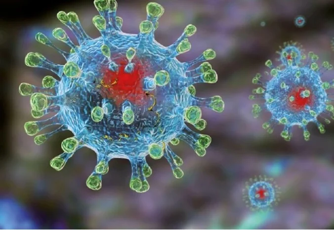 República Dominicana registra casos de metapneumovirus humano (HMPV)