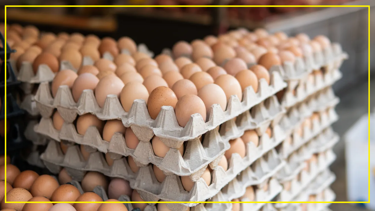 EE.UU. prohíbe ingresar huevos y pollo crudo desde México