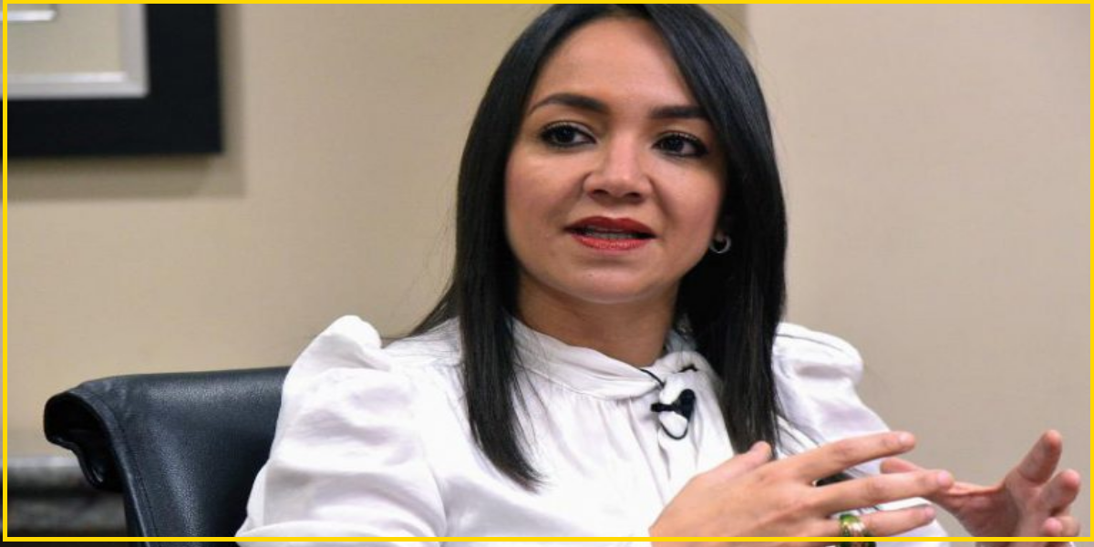 Faride Raful denuncia red organizada detrás de ataques en redes sociales