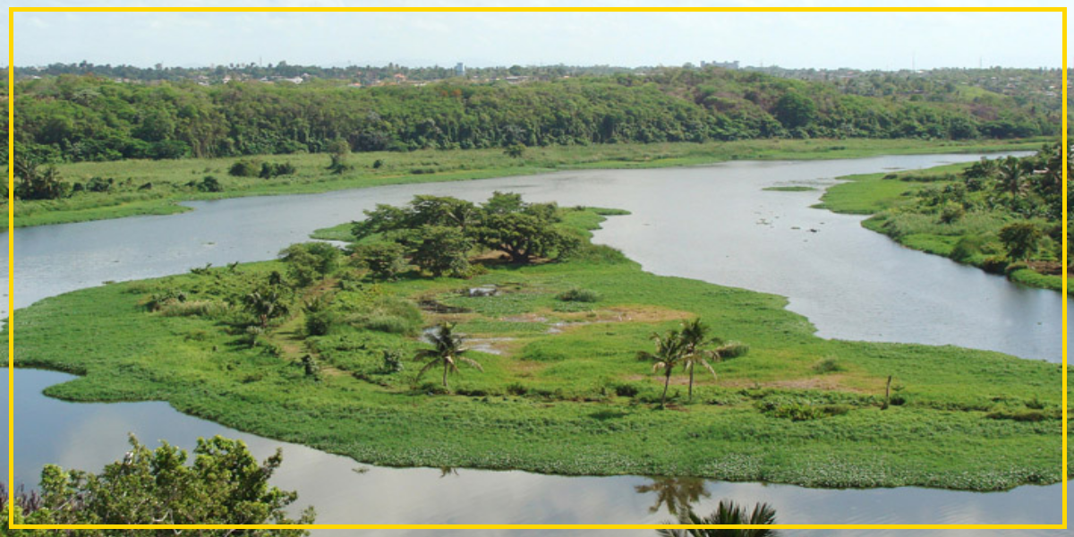 Denuncian destrucción del cinturón verde de Santo Domingo por altos funcionarios