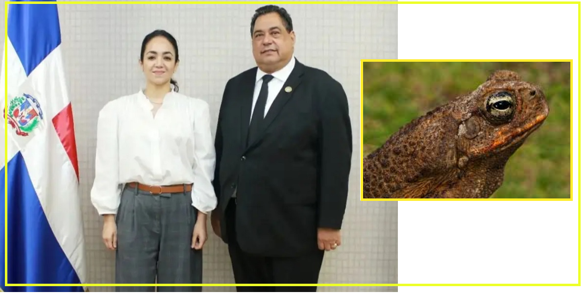 Notarios proponen registrar a ciudadanos sin acta de nacimiento