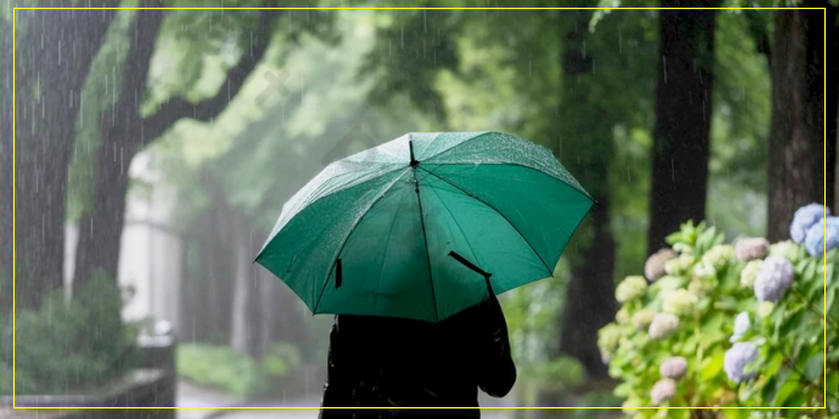 Gobierno suspende labores y clases por tormenta tropical Melissa