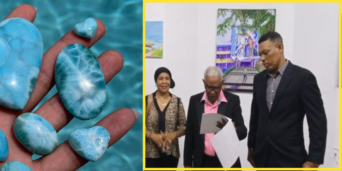 Gremios denuncian exportación masiva de Larimar en bruto hacia China e India