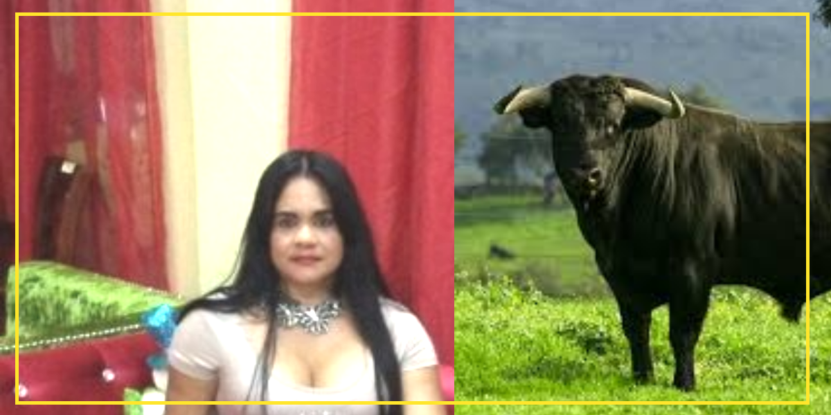Tragedia en Puerto Plata: mujer muere tras brutal ataque de un toro en su propia casa