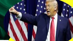 México: Trump amenaza con ataques terrestres contra carteles